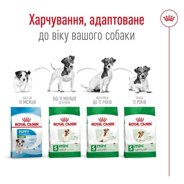Сухий корм для собак Royal Canin Mini Adult 2 кг Royal Canin – купити зі знижкою %