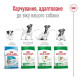 Сухий корм для собак Royal Canin Mini Adult 2 кг Royal Canin – купити зі знижкою %