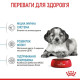 Сухий корм для цуценят Royal Canin Medium Puppy 4 кг Royal Canin – купити зі знижкою %