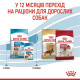 Сухий корм для цуценят Royal Canin Medium Puppy 4 кг Royal Canin – купити зі знижкою %