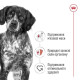 Сухий корм для собак Royal Canin Medium Adult 4 кг Royal Canin – купити зі знижкою %