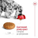 Сухий корм для собак Royal Canin Medium Adult 4 кг Royal Canin – купити зі знижкою %