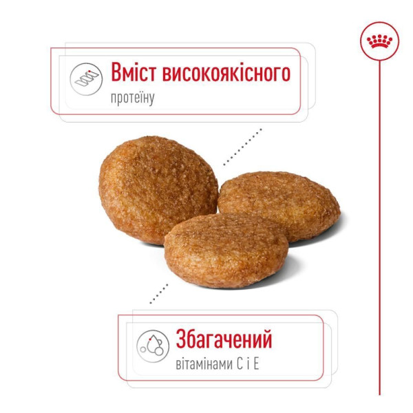Сухий корм для собак Royal Canin Medium Adult 4 кг Royal Canin – купити зі знижкою %