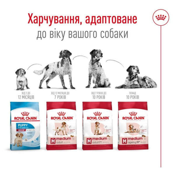 Сухий корм для собак Royal Canin Medium Adult 4 кг Royal Canin – купити зі знижкою %