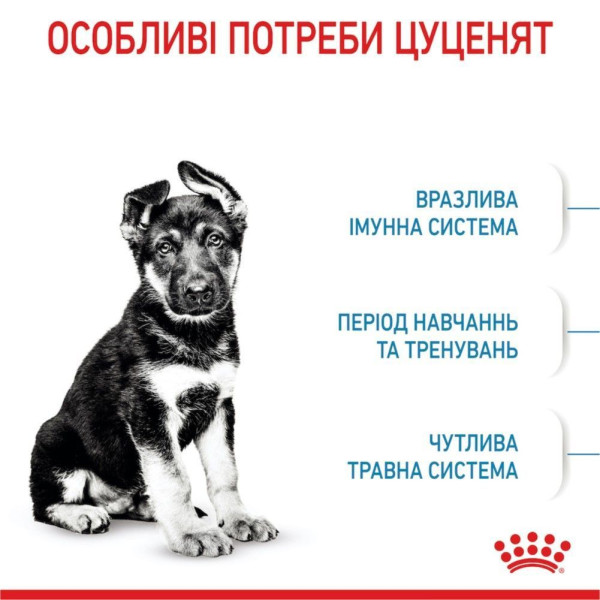 Сухий корм для цуценят Royal Canin Maxi Puppy 4 кг Royal Canin – купити зі знижкою %