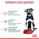 Сухий корм для цуценят Royal Canin Maxi Puppy 4 кг Royal Canin – купити зі знижкою %