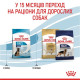 Сухий корм для цуценят Royal Canin Maxi Puppy 4 кг Royal Canin – купити зі знижкою %