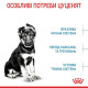 Сухий корм для цуценят Royal Canin Maxi Puppy 4 кг Royal Canin – купити зі знижкою %