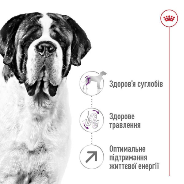Сухий корм для собак Royal Canin Giant Adult 15 кг Royal Canin – купити зі знижкою %