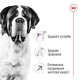 Сухий корм для собак Royal Canin Giant Adult 15 кг Royal Canin – купити зі знижкою %