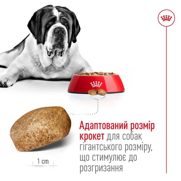 Сухий корм для собак Royal Canin Giant Adult 15 кг Royal Canin – купити зі знижкою %
