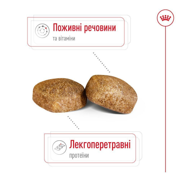 Сухий корм для собак Royal Canin Giant Adult 15 кг Royal Canin – купити зі знижкою %