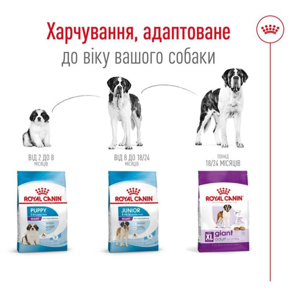 Сухий корм для собак Royal Canin Giant Adult 15 кг Royal Canin – купити зі знижкою %