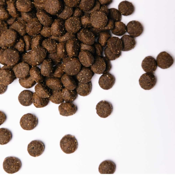 Savory All Breed сухий корм для собак 3 кг - кролик та качка Savory – купити зі знижкою %