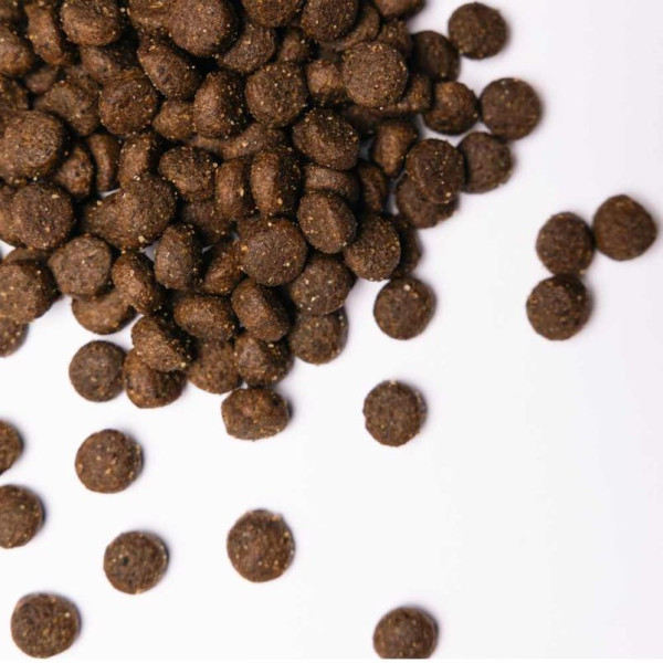 Savory All Breed сухий корм для собак 3 кг - кролик та качка Savory – купити зі знижкою %