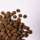 Savory Junior Large Breed сухий корм для цуценят 3 кг - індичка та курка Savory – купити зі знижкою %