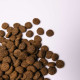 Savory Junior Large Breed сухий корм для цуценят 12 кг - індичка та курка Savory – купити зі знижкою %