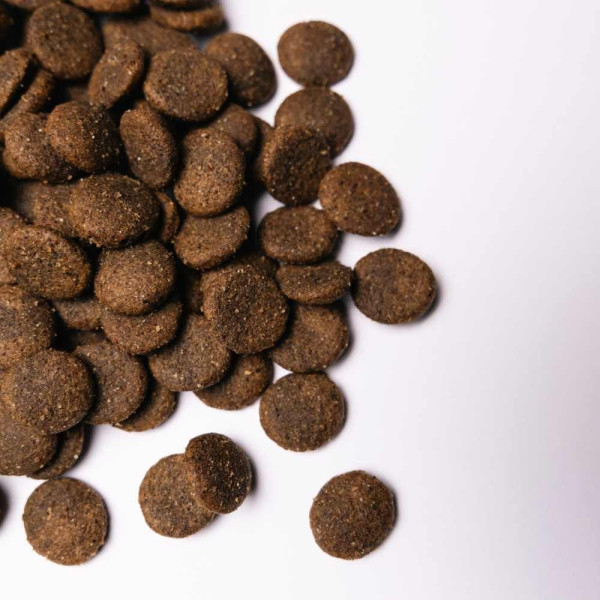 Savory Large Breed сухий корм для собак 3 кг - індичка та ягня Savory – купити зі знижкою %