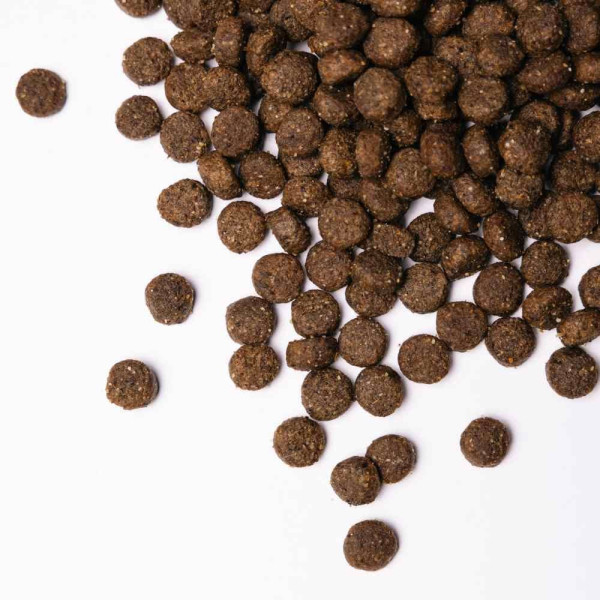 Savory Medium Breed сухий корм для собак 3 кг - індичка та ягня Savory – купити зі знижкою %