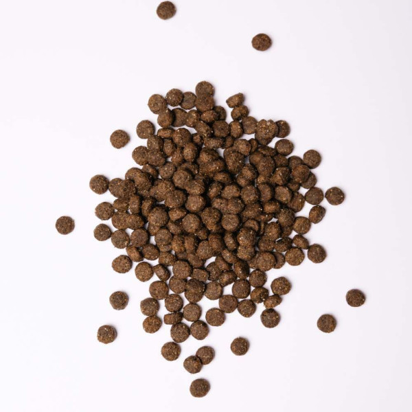 Savory Medium Breed сухий корм для собак 3 кг - індичка та ягня Savory – купити зі знижкою %