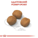 Сухий корм для цуценят Royal Canin Giant Puppy 15 кг Royal Canin – купити зі знижкою %