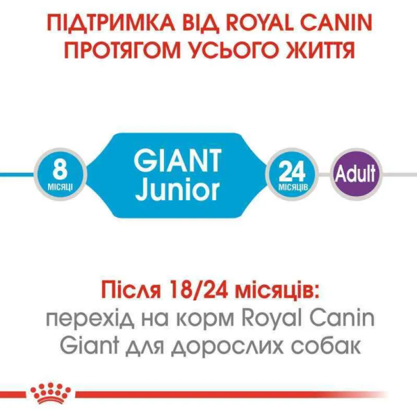 Сухий корм для цуценят Royal Canin Giant Junior 15 кг Royal Canin – купити зі знижкою %