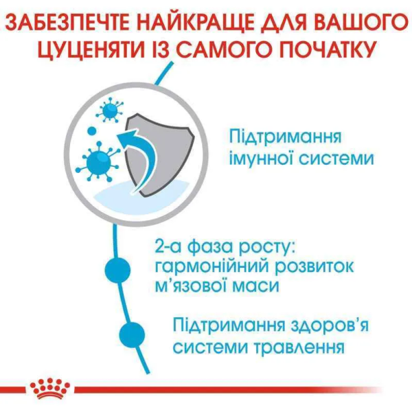 Сухий корм для цуценят Royal Canin Giant Junior 15 кг Royal Canin – купити зі знижкою %