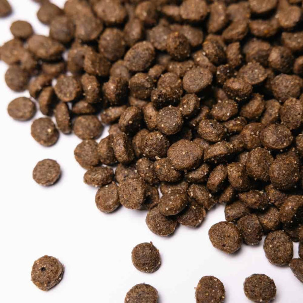 Savory Small Breed сухий корм для собак 8 кг - ягня Savory – купити зі знижкою %