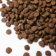 Savory Small Breed сухий корм для собак 8 кг - ягня Savory – купити зі знижкою %
