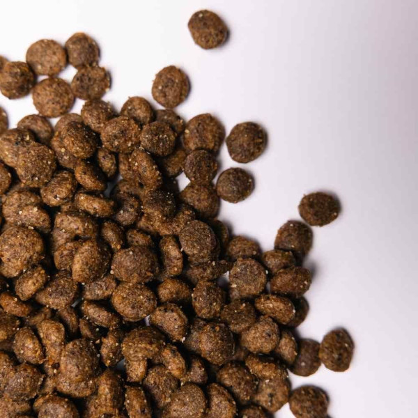 Savory Small Breed cухий корм для собак 3 кг - індичка та ягня Savory – купити зі знижкою %