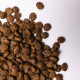 Savory Small Breed cухий корм для собак 3 кг - індичка та ягня Savory – купити зі знижкою %