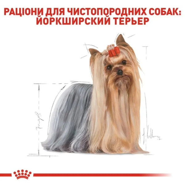 Сухий корм для собак Royal Canin Yorkshire Terrier Ageing 8+ 1.5 кг Royal Canin – купити зі знижкою %