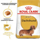 Сухий корм для собак Royal Canin Dachshund Adult 1,5 кг Royal Canin – купити зі знижкою %
