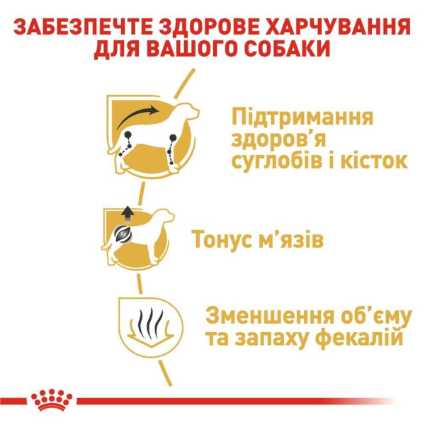 Сухий корм для собак Royal Canin Dachshund Adult 1,5 кг Royal Canin – купити зі знижкою %