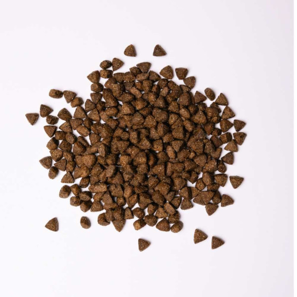 Savory All Breed Sterilised сухий корм для собак 3 кг - індичка Savory – купити зі знижкою %
