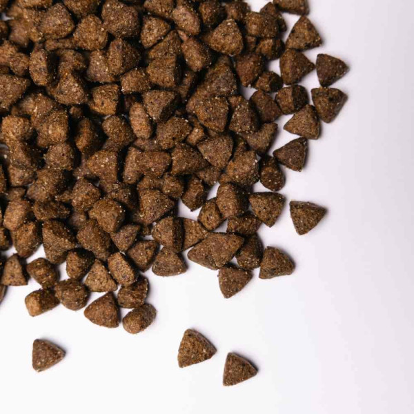 Savory All Breed Sterilised сухий корм для собак 3 кг - індичка Savory – купити зі знижкою %