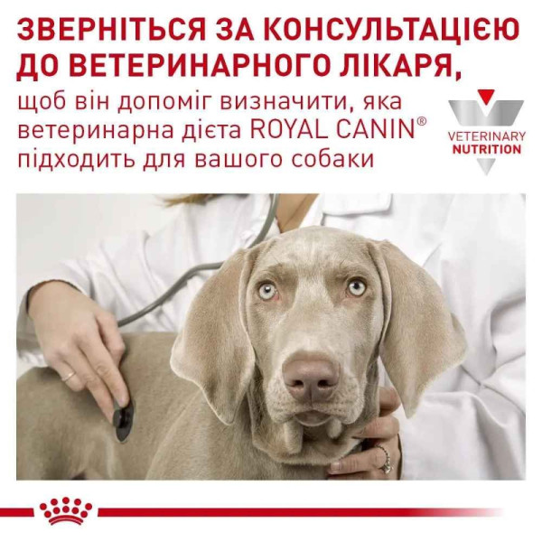 Сухий корм для собак Royal Canin Anallergenic Small Dog 3 кг Royal Canin – купити зі знижкою %