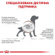 Сухий корм для собак Royal Canin Gastro Intestinal 2 кг Royal Canin – купити зі знижкою %