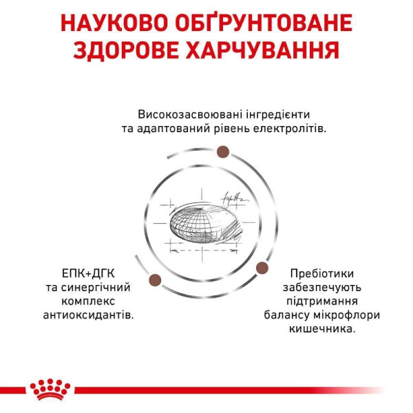 Сухий корм для собак Royal Canin Gastro Intestinal 2 кг Royal Canin – купити зі знижкою %