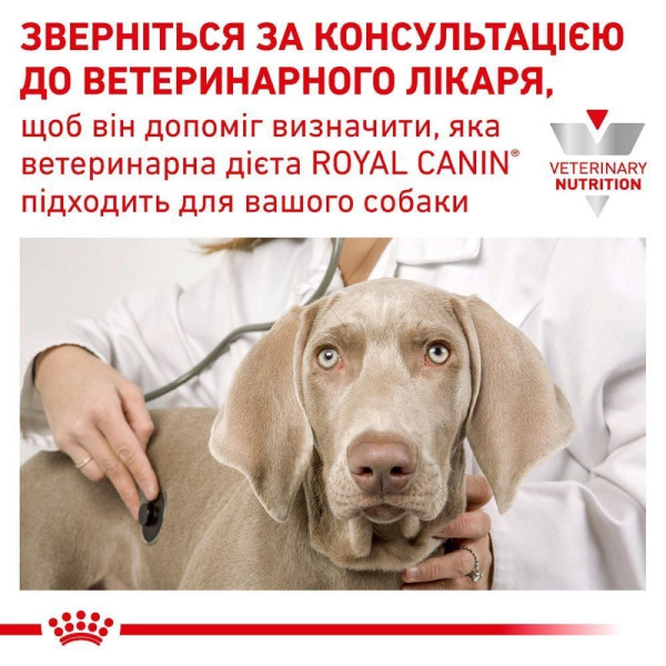 Сухий корм для собак Royal Canin Gastro Intestinal 2 кг Royal Canin – купити зі знижкою %
