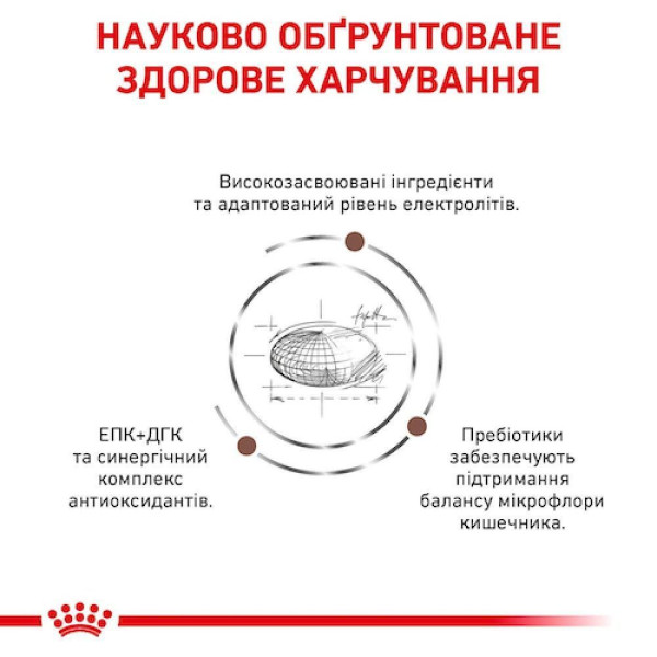 Сухий корм для собак Royal Canin Gastrointestinal 7.5 кг Royal Canin – купити зі знижкою %