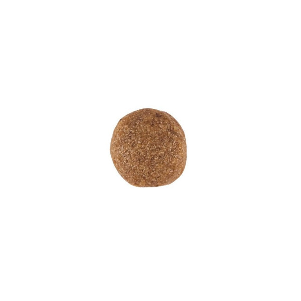 Сухий корм для собак Royal Canin Gastrointestinal 7.5 кг Royal Canin – купити зі знижкою %