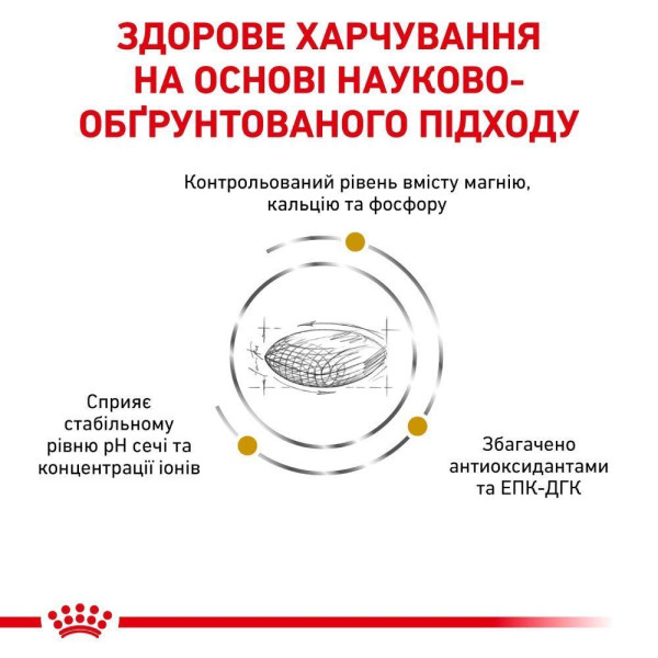Сухий корм для собак Royal Canin Urinary S/O 2 кг Royal Canin – купити зі знижкою %