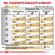 Сухий корм для собак Royal Canin Urinary S/O 13 кг Royal Canin – купити зі знижкою %