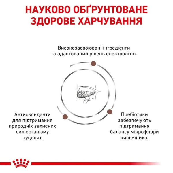 Сухий корм для цуценят Royal Canin Gastrointestinal Puppy 2.5 кг Royal Canin – купити зі знижкою %
