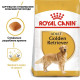Сухий корм для собак Royal Canin Golden Retriever Adult 12 кг Royal Canin – купити зі знижкою %