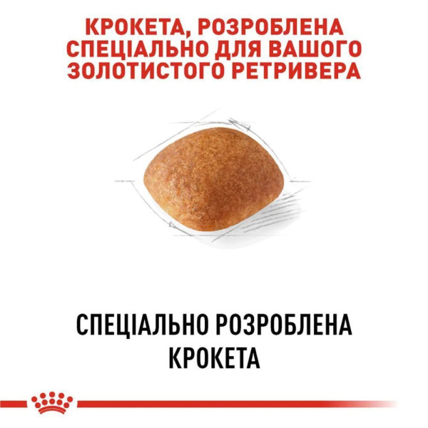 Сухий корм для собак Royal Canin Golden Retriever Adult 12 кг Royal Canin – купити зі знижкою %
