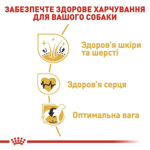 Сухий корм для собак Royal Canin Golden Retriever Adult 12 кг Royal Canin – купити зі знижкою %