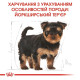 Royal Canin Yorkshire Puppy сухий корм для цуценят 500 г Royal Canin – купити зі знижкою %