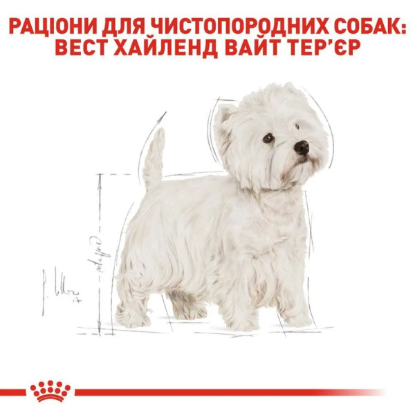 Сухий корм для собак Royal Canin West Highland White Terrier Adult 3 кг Royal Canin – купити зі знижкою %